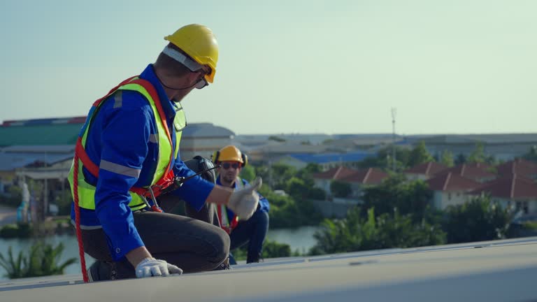 Best Chimney Flashing Repair  in East Hazel Crest, IL